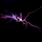 Energie Info 42